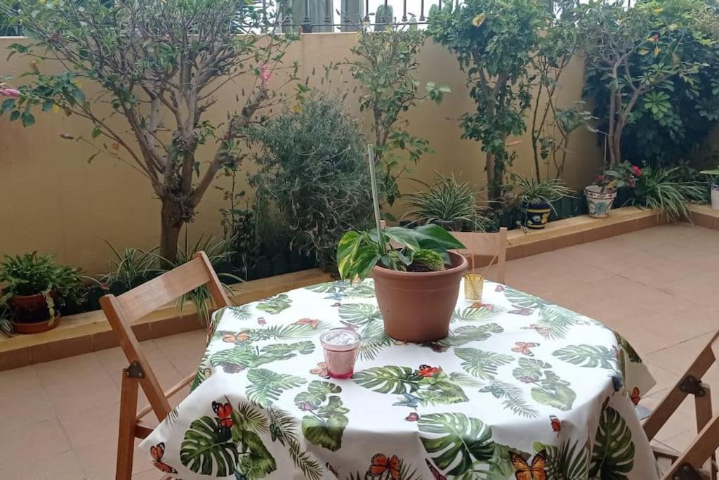 Appartamento Casa Brigitte El El Sauzal Esterno foto