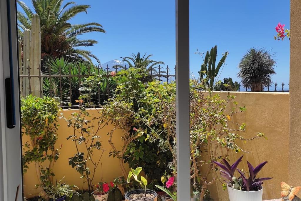 Appartamento Casa Brigitte El El Sauzal Esterno foto